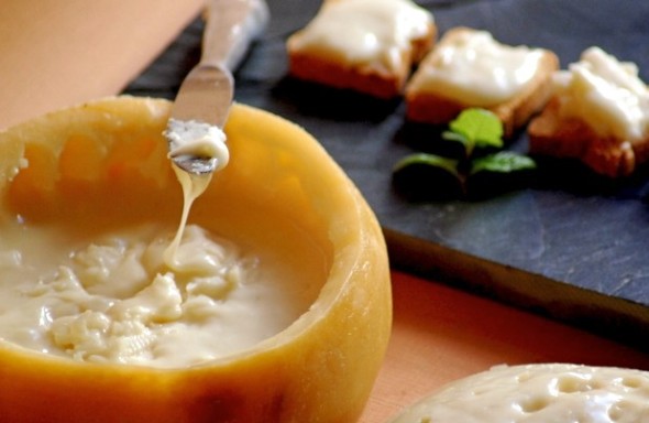 Los Mejores Quesos de España según los Foreros de Verema Torta del Casar 2